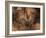 Stone-age Cave Paintings, Chauvet, France-Javier Trueba-Framed Photographic Print