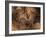 Stone-age Cave Paintings, Chauvet, France-Javier Trueba-Framed Photographic Print