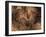 Stone-age Cave Paintings, Chauvet, France-Javier Trueba-Framed Photographic Print