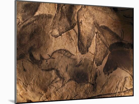 Stone-age Cave Paintings, Chauvet, France-Javier Trueba-Mounted Photographic Print