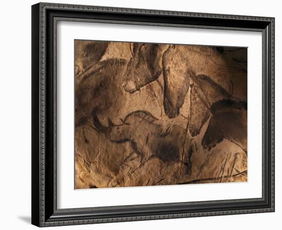 Stone-age Cave Paintings, Chauvet, France-Javier Trueba-Framed Photographic Print