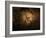 Stone-age Cave Paintings, Chauvet, France-Javier Trueba-Framed Photographic Print