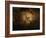 Stone-age Cave Paintings, Chauvet, France-Javier Trueba-Framed Photographic Print