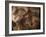 Stone-age Cave Paintings, Chauvet, France-Javier Trueba-Framed Photographic Print