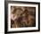 Stone-age Cave Paintings, Chauvet, France-Javier Trueba-Framed Photographic Print