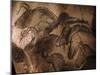 Stone-age Cave Paintings, Chauvet, France-Javier Trueba-Mounted Photographic Print