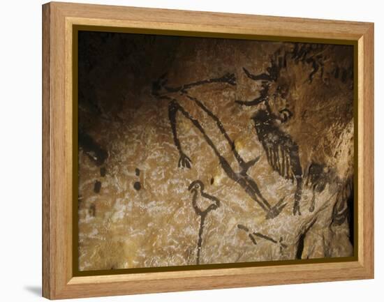 Stone-age Cave Paintings, Lascaux, France-Javier Trueba-Framed Premier Image Canvas