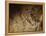 Stone-age Cave Paintings, Lascaux, France-Javier Trueba-Framed Premier Image Canvas