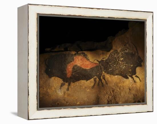 Stone-age Cave Paintings, Lascaux, France-Javier Trueba-Framed Premier Image Canvas