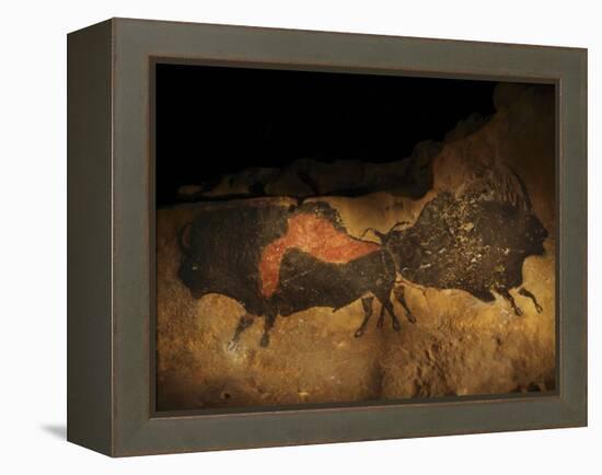 Stone-age Cave Paintings, Lascaux, France-Javier Trueba-Framed Premier Image Canvas