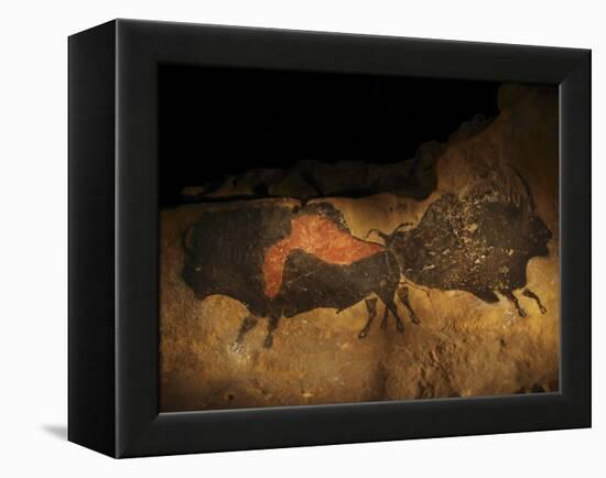 Stone-age Cave Paintings, Lascaux, France-Javier Trueba-Framed Premier Image Canvas