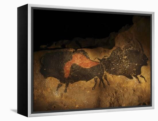 Stone-age Cave Paintings, Lascaux, France-Javier Trueba-Framed Premier Image Canvas