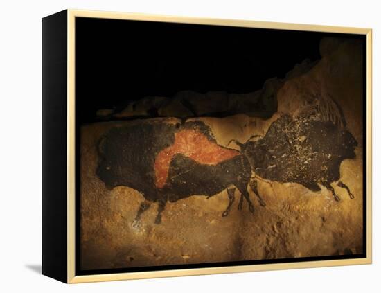 Stone-age Cave Paintings, Lascaux, France-Javier Trueba-Framed Premier Image Canvas