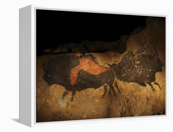 Stone-age Cave Paintings, Lascaux, France-Javier Trueba-Framed Premier Image Canvas