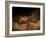 Stone-age Cave Paintings, Lascaux, France-Javier Trueba-Framed Photographic Print