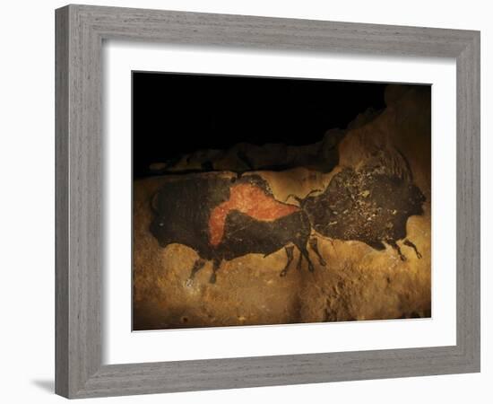 Stone-age Cave Paintings, Lascaux, France-Javier Trueba-Framed Photographic Print