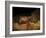 Stone-age Cave Paintings, Lascaux, France-Javier Trueba-Framed Photographic Print