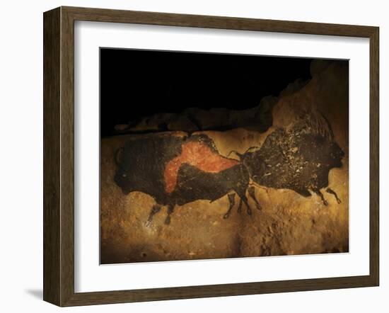 Stone-age Cave Paintings, Lascaux, France-Javier Trueba-Framed Photographic Print