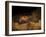 Stone-age Cave Paintings, Lascaux, France-Javier Trueba-Framed Photographic Print