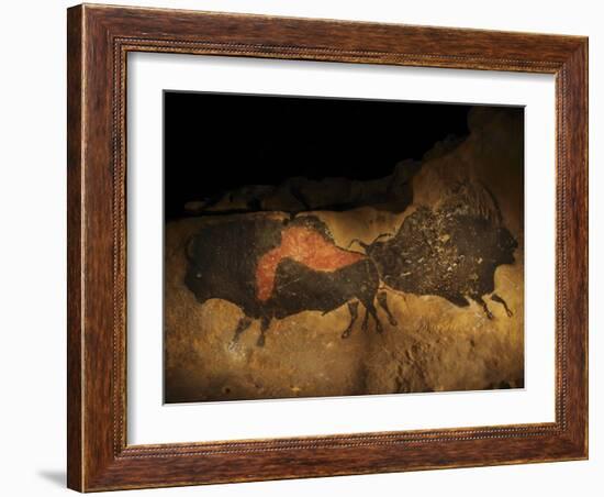 Stone-age Cave Paintings, Lascaux, France-Javier Trueba-Framed Photographic Print