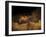 Stone-age Cave Paintings, Lascaux, France-Javier Trueba-Framed Photographic Print