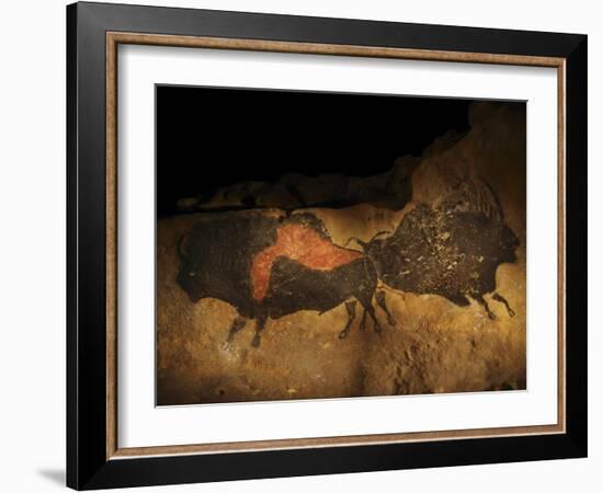 Stone-age Cave Paintings, Lascaux, France-Javier Trueba-Framed Photographic Print