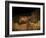 Stone-age Cave Paintings, Lascaux, France-Javier Trueba-Framed Photographic Print