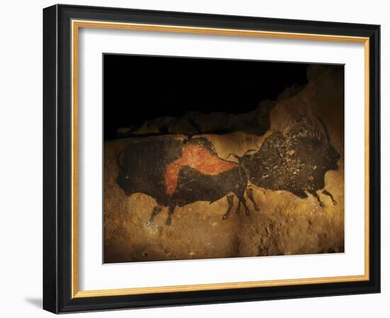 Stone-age Cave Paintings, Lascaux, France-Javier Trueba-Framed Photographic Print