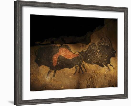 Stone-age Cave Paintings, Lascaux, France-Javier Trueba-Framed Photographic Print