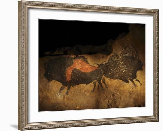 Stone-age Cave Paintings, Lascaux, France-Javier Trueba-Framed Photographic Print