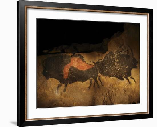 Stone-age Cave Paintings, Lascaux, France-Javier Trueba-Framed Photographic Print