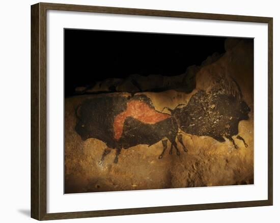 Stone-age Cave Paintings, Lascaux, France-Javier Trueba-Framed Photographic Print