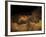 Stone-age Cave Paintings, Lascaux, France-Javier Trueba-Framed Photographic Print