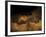 Stone-age Cave Paintings, Lascaux, France-Javier Trueba-Framed Photographic Print