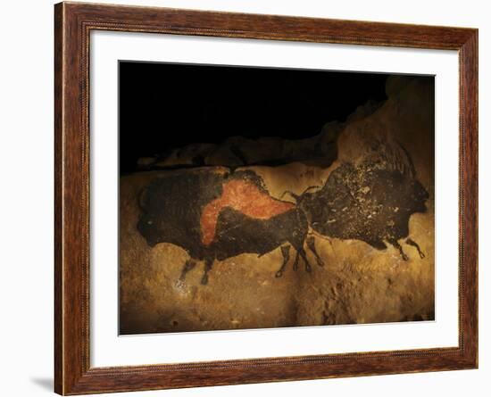 Stone-age Cave Paintings, Lascaux, France-Javier Trueba-Framed Photographic Print