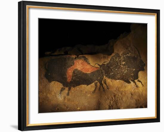 Stone-age Cave Paintings, Lascaux, France-Javier Trueba-Framed Photographic Print