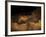 Stone-age Cave Paintings, Lascaux, France-Javier Trueba-Framed Photographic Print