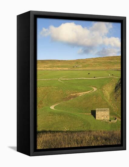 Stone Barn and Winding Track Near Keld, Yorkshire Dales National Park, Yorkshire, England-Neale Clarke-Framed Premier Image Canvas