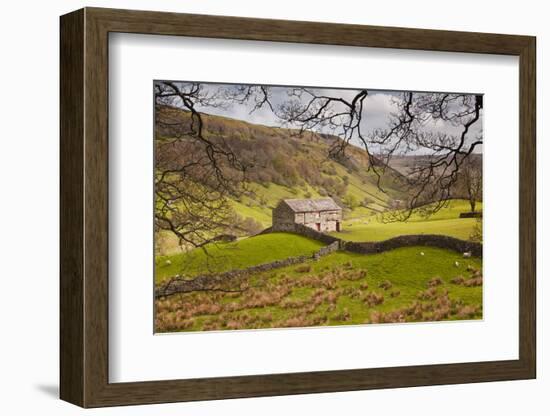 Stone Barn in the Swaledale Area of the Yorkshire Dales National Park-Julian Elliott-Framed Photographic Print