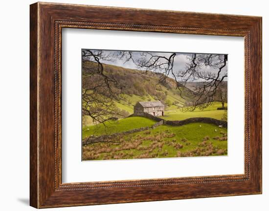 Stone Barn in the Swaledale Area of the Yorkshire Dales National Park-Julian Elliott-Framed Photographic Print