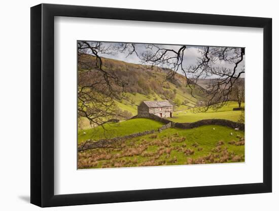 Stone Barn in the Swaledale Area of the Yorkshire Dales National Park-Julian Elliott-Framed Photographic Print