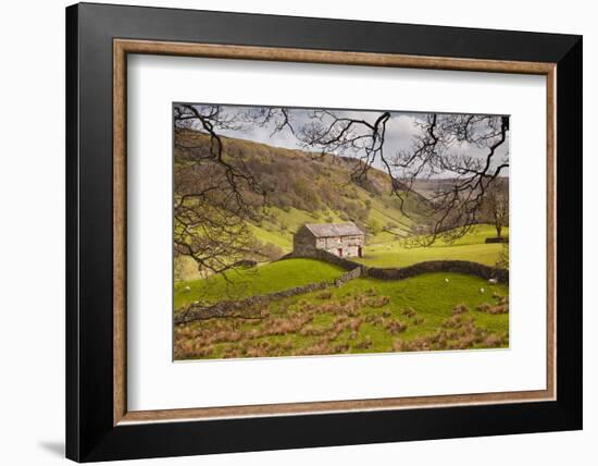 Stone Barn in the Swaledale Area of the Yorkshire Dales National Park-Julian Elliott-Framed Photographic Print