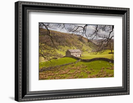 Stone Barn in the Swaledale Area of the Yorkshire Dales National Park-Julian Elliott-Framed Photographic Print