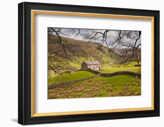 Stone Barn in the Swaledale Area of the Yorkshire Dales National Park-Julian Elliott-Framed Photographic Print