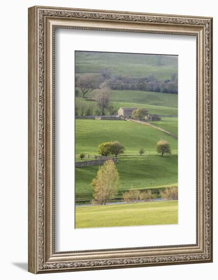 Stone barn in the Yorkshire Dales National Park, Yorkshire, England, United Kingdom, Europe-Julian Elliott-Framed Photographic Print