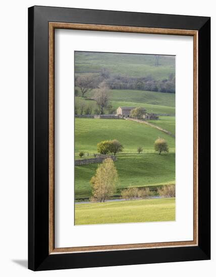 Stone barn in the Yorkshire Dales National Park, Yorkshire, England, United Kingdom, Europe-Julian Elliott-Framed Photographic Print