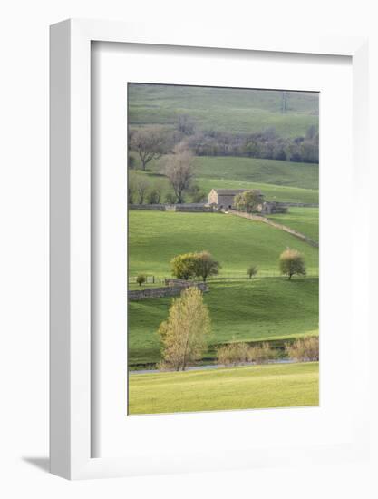 Stone barn in the Yorkshire Dales National Park, Yorkshire, England, United Kingdom, Europe-Julian Elliott-Framed Photographic Print