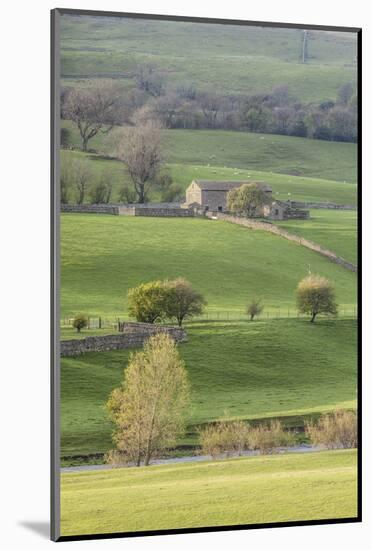 Stone barn in the Yorkshire Dales National Park, Yorkshire, England, United Kingdom, Europe-Julian Elliott-Mounted Photographic Print