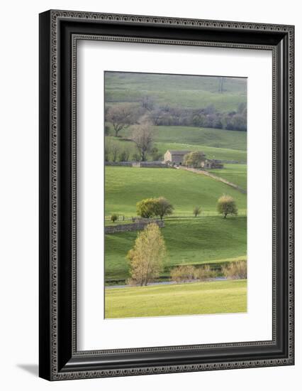 Stone barn in the Yorkshire Dales National Park, Yorkshire, England, United Kingdom, Europe-Julian Elliott-Framed Photographic Print