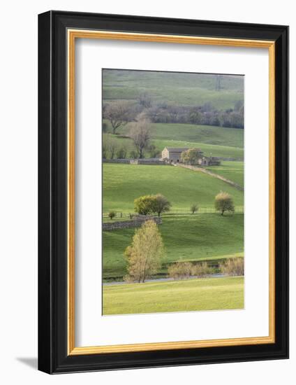 Stone barn in the Yorkshire Dales National Park, Yorkshire, England, United Kingdom, Europe-Julian Elliott-Framed Photographic Print